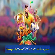 bingo k?rm?z? s?v? deterjan