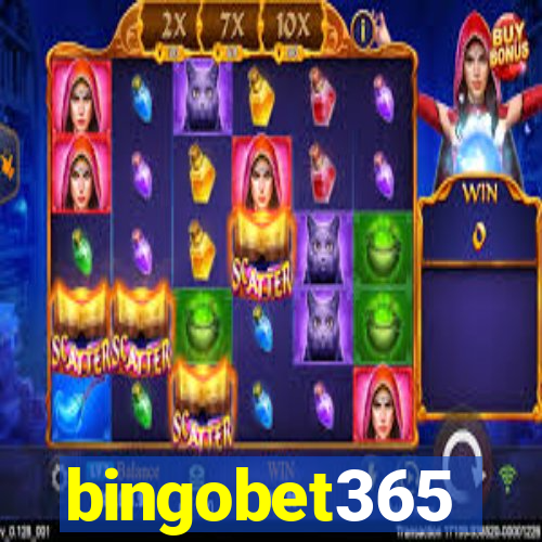 bingobet365