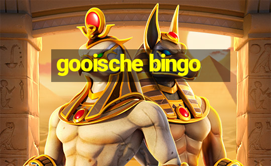 gooische bingo