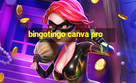 bingotingo canva pro