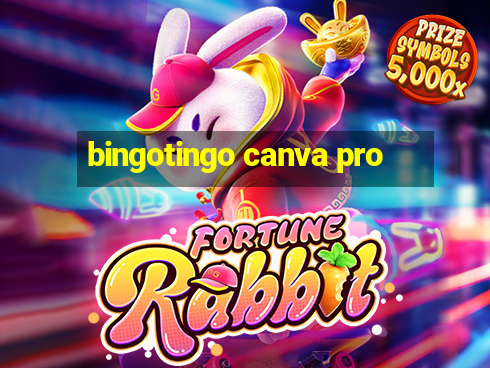 bingotingo canva pro