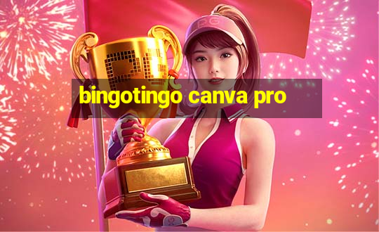 bingotingo canva pro