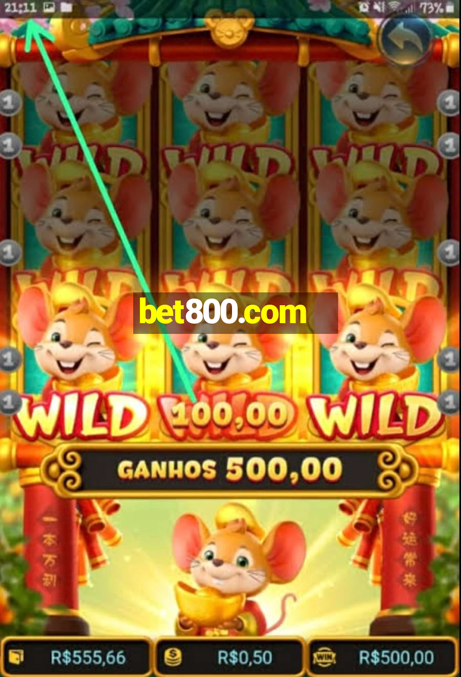 bet800.com