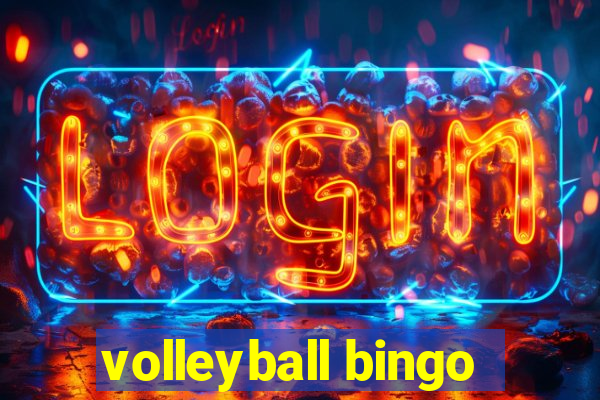 volleyball bingo