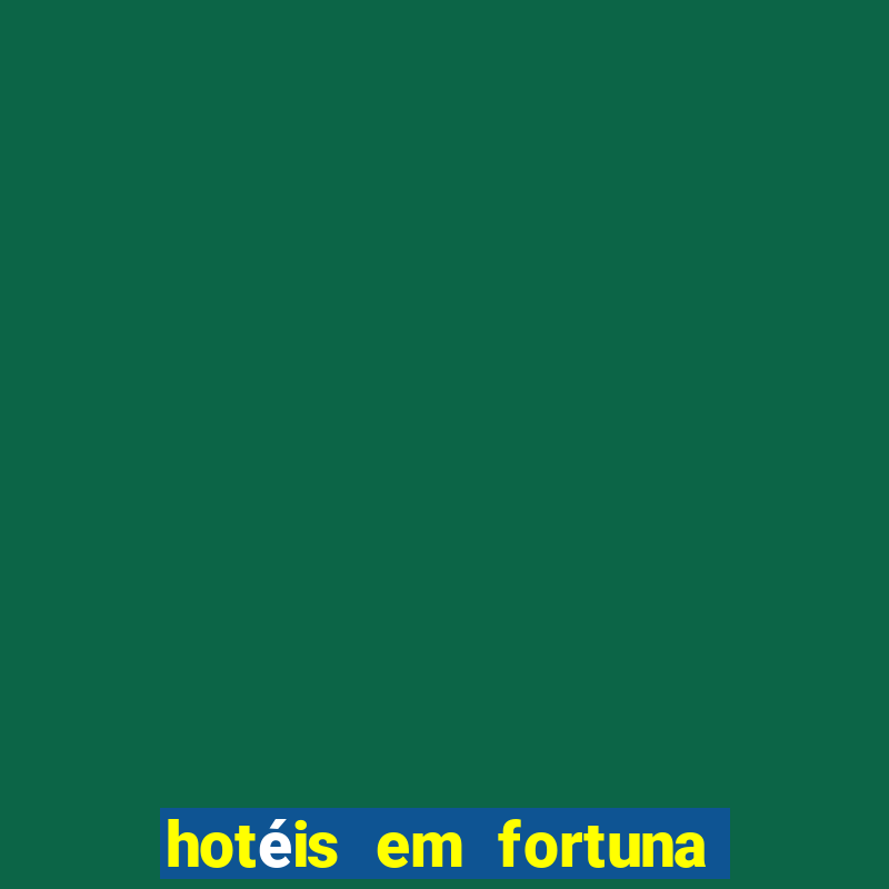 hotéis em fortuna de minas