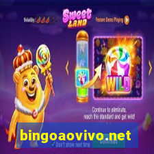 bingoaovivo.net