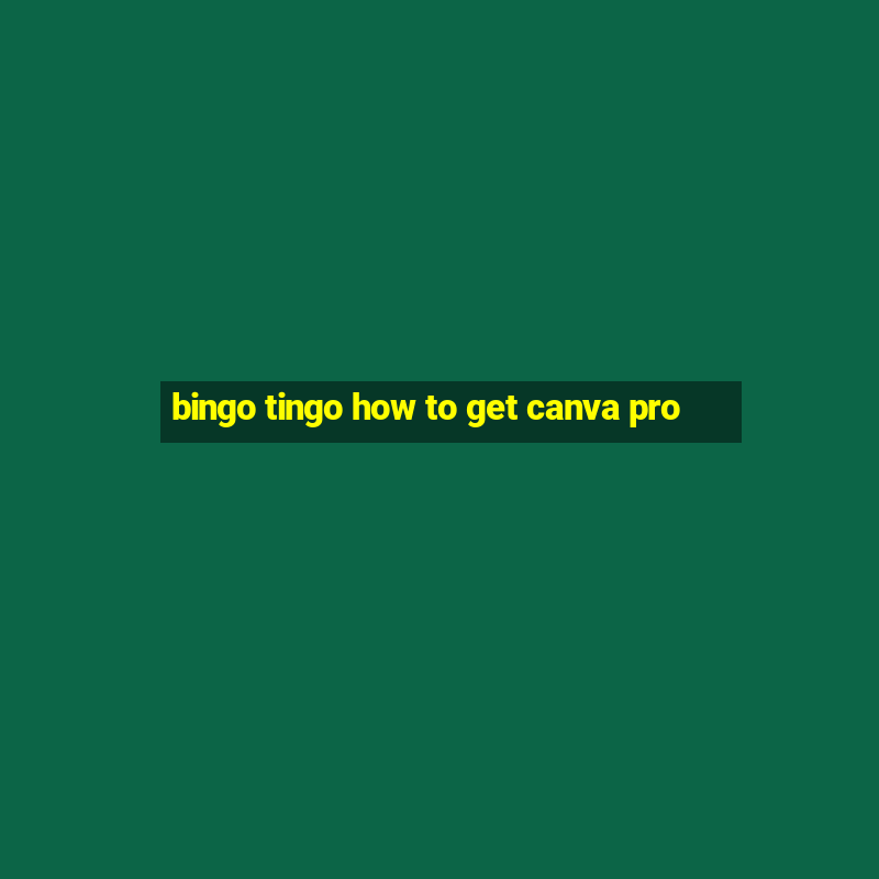 bingo tingo how to get canva pro