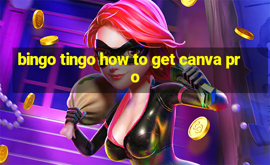 bingo tingo how to get canva pro