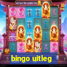 bingo uitleg