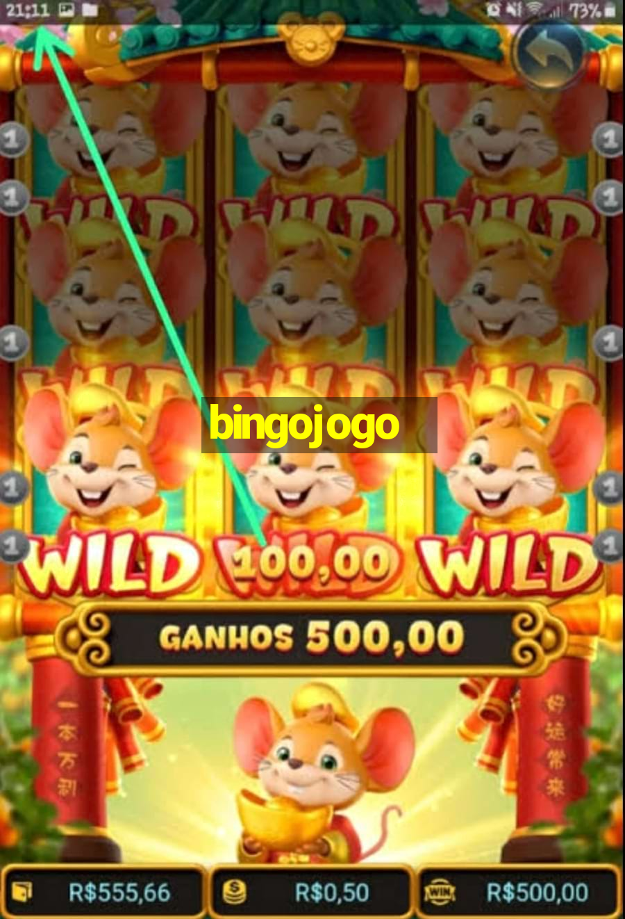 bingojogo