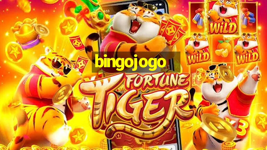 bingojogo