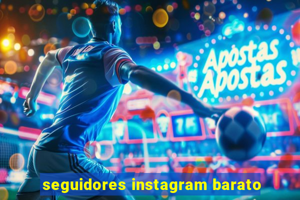 seguidores instagram barato