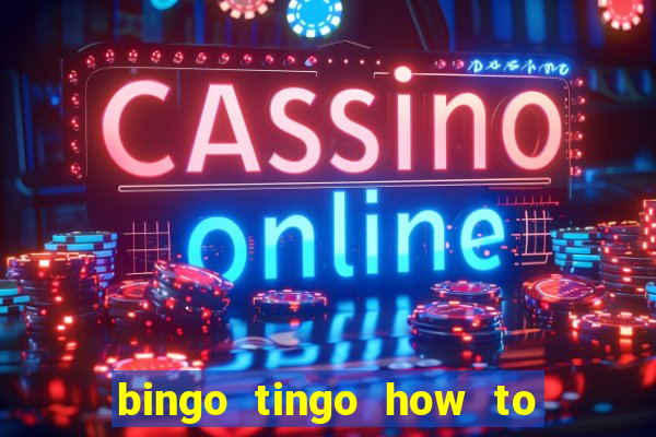 bingo tingo how to use canva