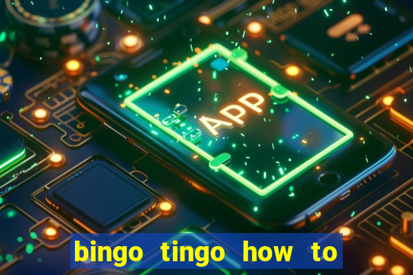 bingo tingo how to use canva