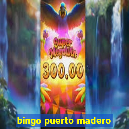 bingo puerto madero