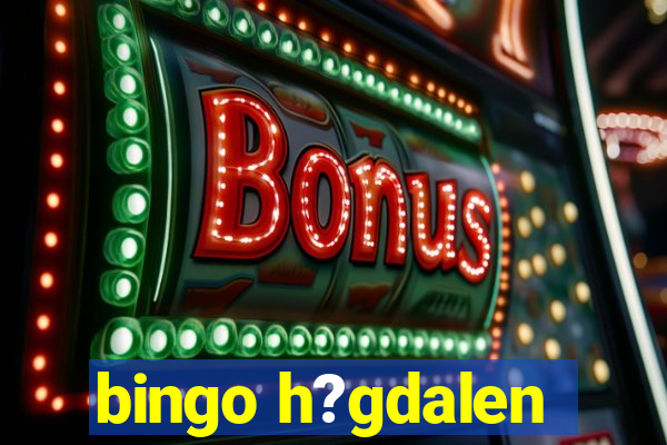 bingo h?gdalen