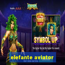 elefante aviator