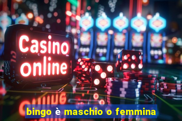 bingo è maschio o femmina