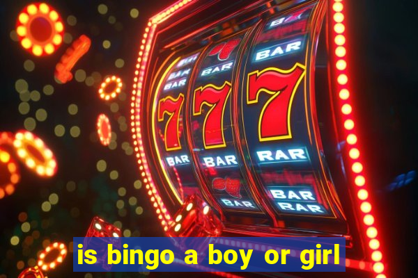 is bingo a boy or girl