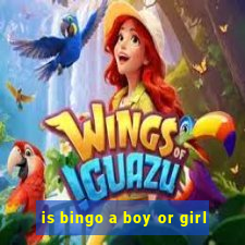 is bingo a boy or girl