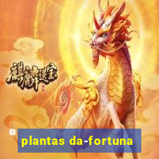 plantas da-fortuna