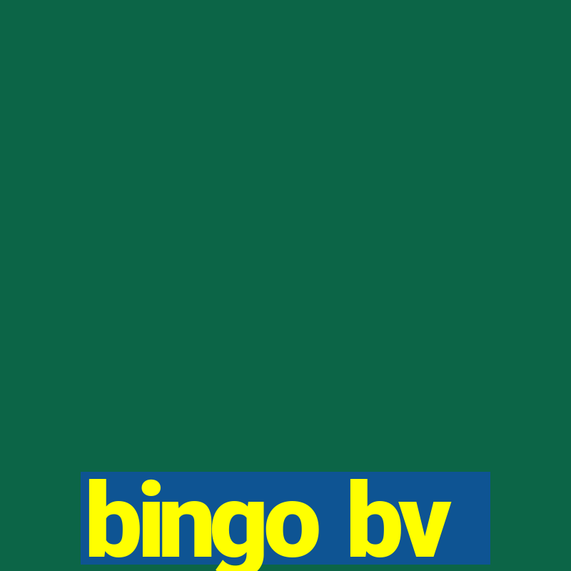 bingo bv