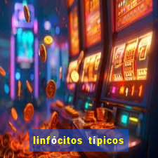 linfócitos típicos alto o que significa