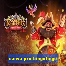 canva pro bingotingo