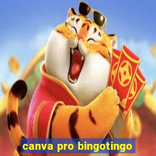 canva pro bingotingo