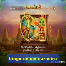 bingo de um carneiro