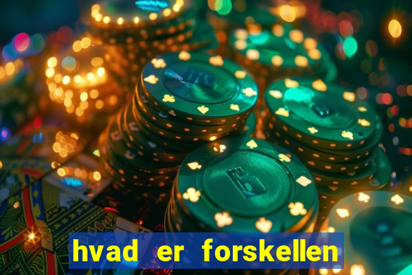 hvad er forskellen p? bingo og banko