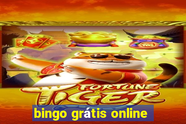 bingo grátis online