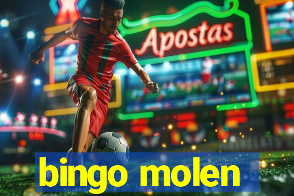 bingo molen