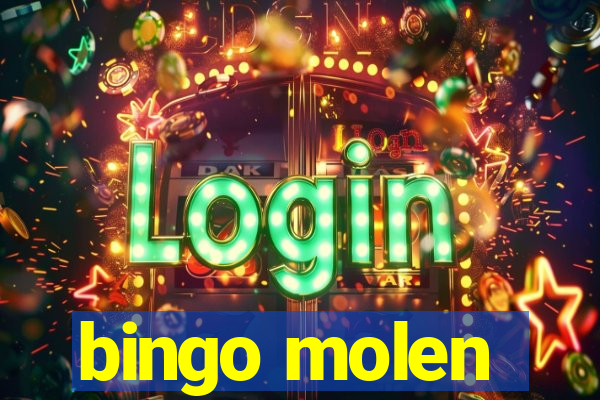 bingo molen