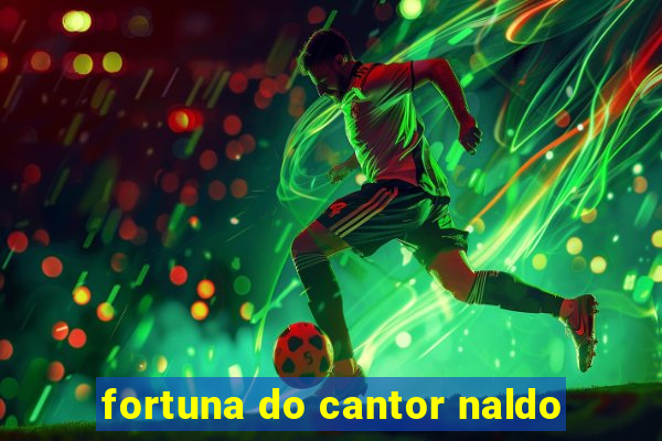 fortuna do cantor naldo