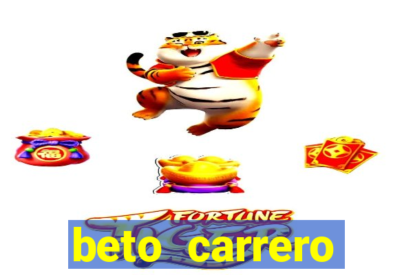 beto carrero cidades proximas