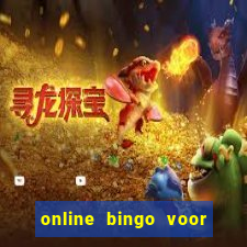 online bingo voor echt geld